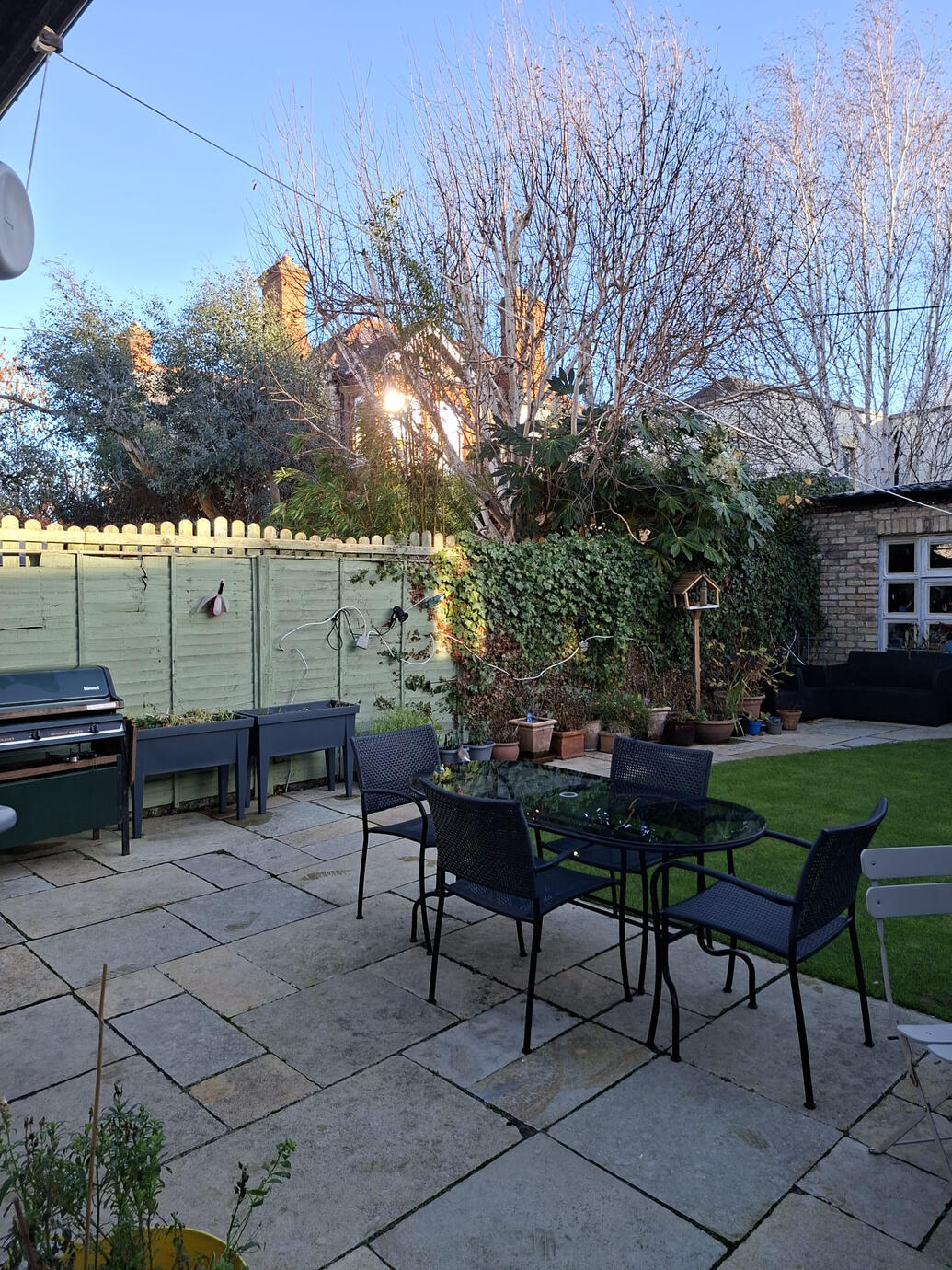 Back Garden